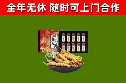 淮阳区回收冬虫夏草价格