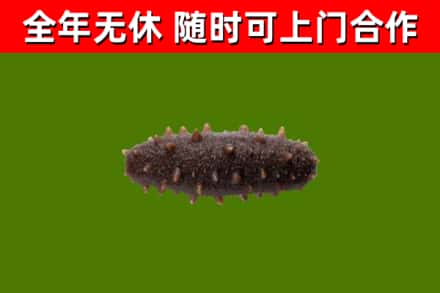 淮阳区烟酒回收干海参.jpg